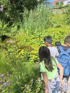 IMG_20260729_120932